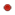 bullet